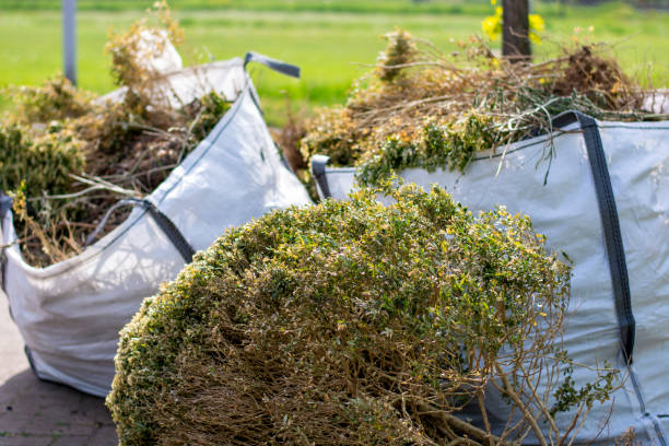 Best Junk Hauling Services  in Spring Valley, CA