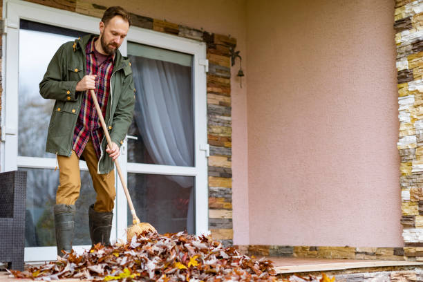Yard Cleanup Services in Spring Valley, CA